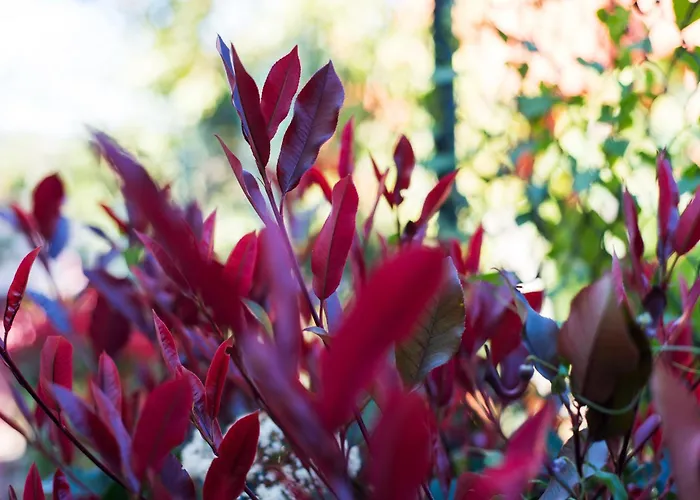 Apartament Rentandhomes Reserva De