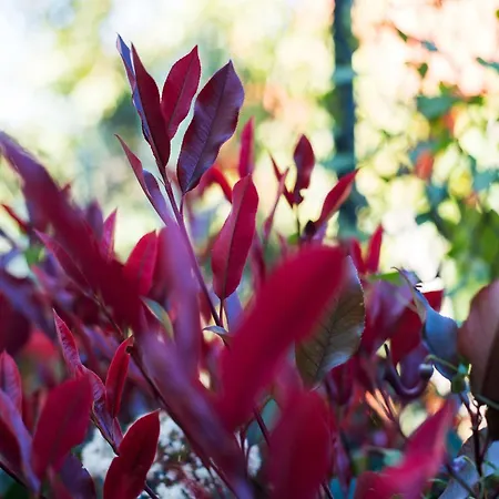 Apartment Rentandhomes Reserva De